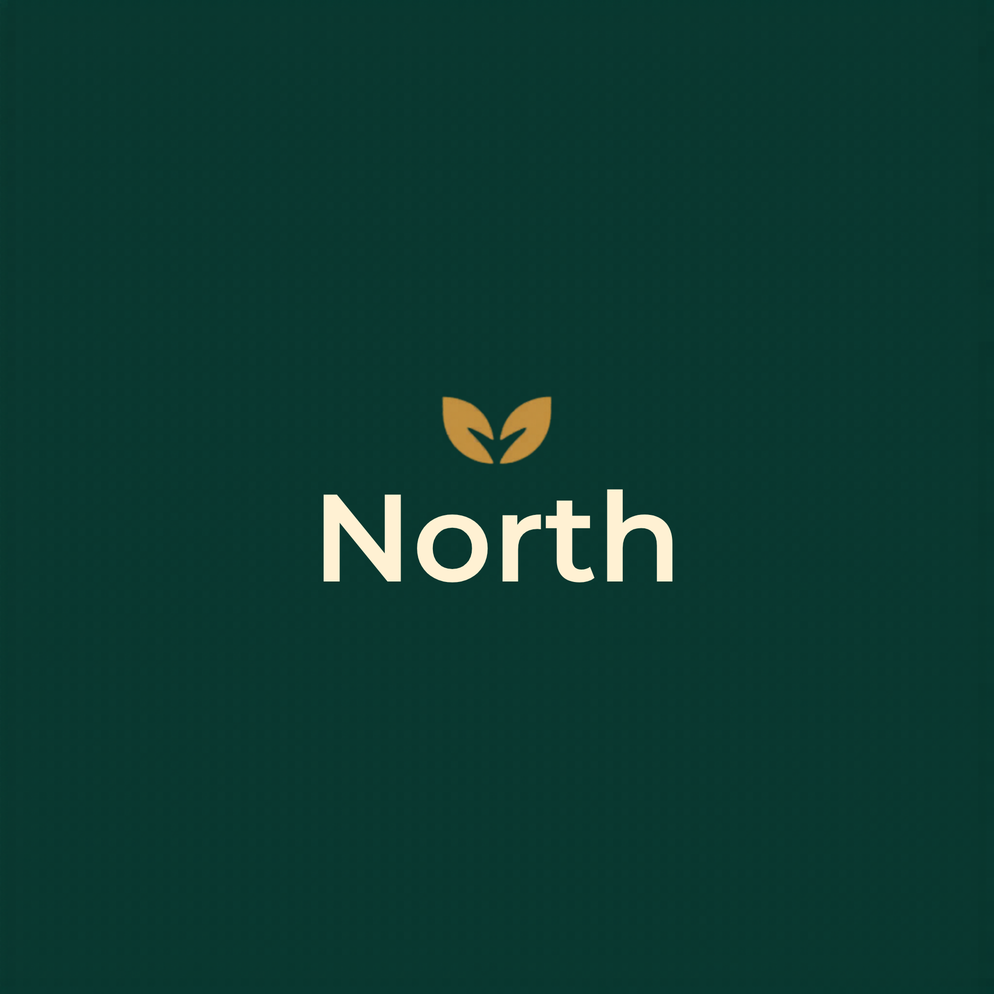 North İnt Biyomedikal Sağlık İth. İhr. Ve San. Tic. Ltd. Şti. Kuruluşudur.